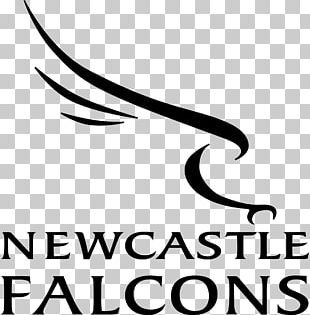 Bristol Newcastle vs Falcons Live Streams Link 3